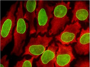 Content Dam Bow Online Articles 2013 03 Quantum Dots High Res Thumb