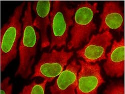 Content Dam Bow Online Articles 2013 03 Quantum Dots High Res Thumb Content Dam Bow Online Articles 2013 03 Quantum Dots High Res Thumb