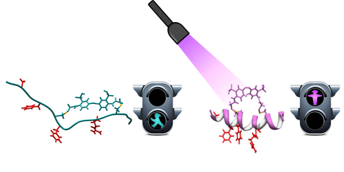 Content Dam Bow Online Articles 2013 06 0003 Lightpeptides Angch 2013 Big