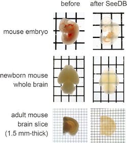 Content Dam Bow Online Articles 2013 06 Fig2en Large Web Content Dam Bow Online Articles 2013 06 Fig2en Large Web