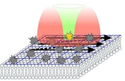 Content Dam Bow Online Articles 2013 07 2013 099 Nature Molekuelbewegungen In Lebenden Zellen Sehen Web Content Dam Bow Online Articles 2013 07 2013 099 Nature Molekuelbewegungen In Lebenden Zellen Sehen Web