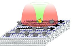 Content Dam Bow Online Articles 2013 07 2013 099 Nature Molekuelbewegungen In Lebenden Zellen Sehen Web Content Dam Bow Online Articles 2013 07 2013 099 Nature Molekuelbewegungen In Lebenden Zellen Sehen Web