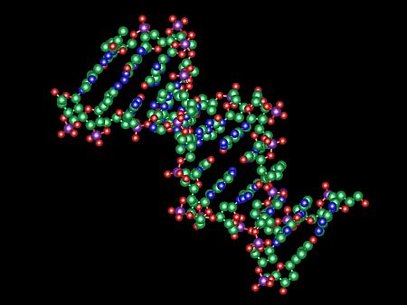 controls timing, duration of gene expression in cells