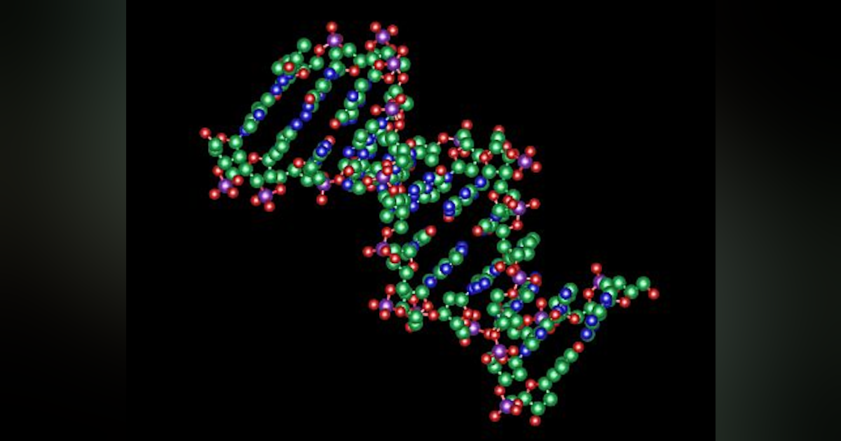 controls timing, duration of gene expression in cells
