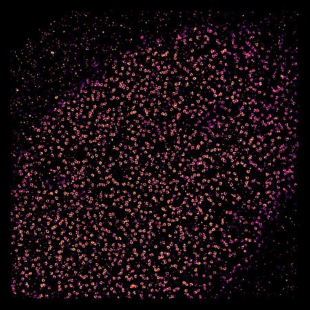 Content Dam Bow Online Articles 2013 07 Pr11jul13 L Web