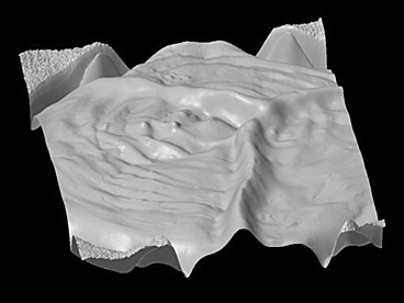 Content Dam Bow Online Articles 2013 08 20130731144845 0