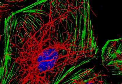 Content Dam Bow Online Articles 2013 08 Newseventsimages Web