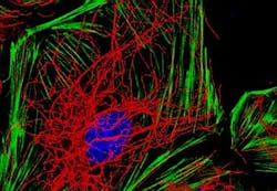 Content Dam Bow Online Articles 2013 08 Newseventsimages Web Content Dam Bow Online Articles 2013 08 Newseventsimages Web