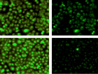 Content Dam Bow Online Articles 2013 09 Pr12sep13 L