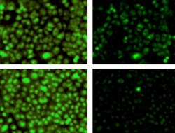 Content Dam Bow Online Articles 2013 09 Pr12sep13 L Content Dam Bow Online Articles 2013 09 Pr12sep13 L