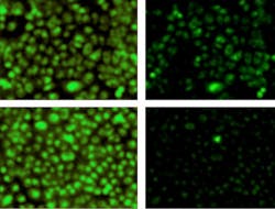 Content Dam Bow Online Articles 2013 09 Pr12sep13 L Content Dam Bow Online Articles 2013 09 Pr12sep13 L