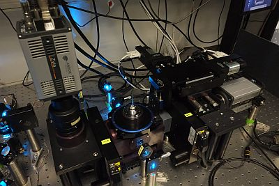 Content Dam Bow Online Articles 2013 10 Huisken Zyla Web