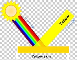 Content Dam Bow Online Articles 2013 11 Skin Color Perception 1 Content Dam Bow Online Articles 2013 11 Skin Color Perception 1