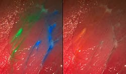 Content Dam Bow Online Articles 2013 11 Thema3 Rn11 2013 G Web Content Dam Bow Online Articles 2013 11 Thema3 Rn11 2013 G Web