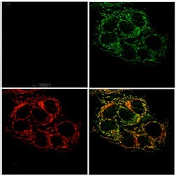 Content Dam Bow Online Articles 2013 12 20131209141355 0 Content Dam Bow Online Articles 2013 12 20131209141355 0