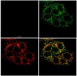 Content Dam Bow Online Articles 2013 12 20131209141355 0 Content Dam Bow Online Articles 2013 12 20131209141355 0