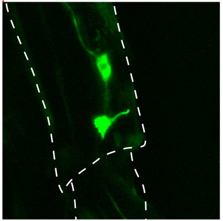 Content Dam Bow Online Articles 2014 03 Cook Image Web