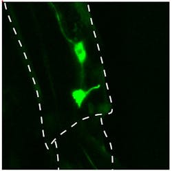 Content Dam Bow Online Articles 2014 03 Cook Image Web Content Dam Bow Online Articles 2014 03 Cook Image Web