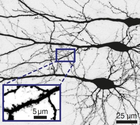 Content Dam Bow Online Articles 2014 04 2014 039 Science Web