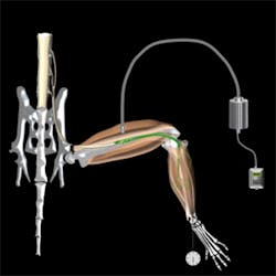 Content Dam Bow Online Articles 2014 04 300pxscreenie Content Dam Bow Online Articles 2014 04 300pxscreenie