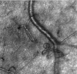 Content Dam Bow Online Articles 2014 04 376376 Actual Content Dam Bow Online Articles 2014 04 376376 Actual