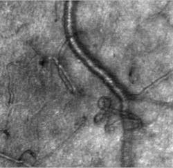 Content Dam Bow Online Articles 2014 04 376376 Actual Content Dam Bow Online Articles 2014 04 376376 Actual