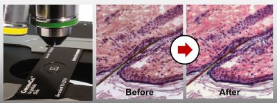 Content Dam Bow Online Articles 2014 04 Cc For Press Release 300dpi Web