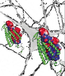 Content Dam Bow Online Articles 2014 04 Deisseroth Content Dam Bow Online Articles 2014 04 Deisseroth
