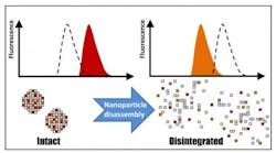 Content Dam Bow Online Articles 2014 05 Fluorescentb Web Content Dam Bow Online Articles 2014 05 Fluorescentb Web