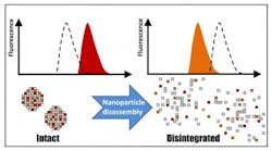 Content Dam Bow Online Articles 2014 05 Fluorescentb Web Content Dam Bow Online Articles 2014 05 Fluorescentb Web