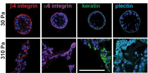 Content Dam Bow Online Articles 2014 06 Image3 Web