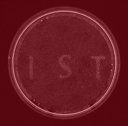 Content Dam Bow Online Articles 2014 07 140701 Cellactivation