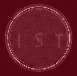 Content Dam Bow Online Articles 2014 07 140701 Cellactivation Content Dam Bow Online Articles 2014 07 140701 Cellactivation