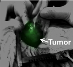 Content Dam Bow Online Articles 2014 07 Glow2 2 Content Dam Bow Online Articles 2014 07 Glow2 2