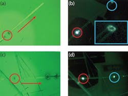 Content Dam Bow Online Articles 2014 07 Semin Content Dam Bow Online Articles 2014 07 Semin