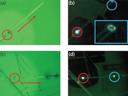 Content Dam Bow Online Articles 2014 07 Semin Content Dam Bow Online Articles 2014 07 Semin