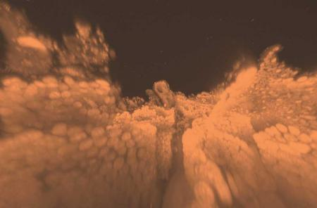 Content Dam Bow Online Articles 2014 08 Intestine