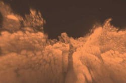 Content Dam Bow Online Articles 2014 08 Intestine Content Dam Bow Online Articles 2014 08 Intestine