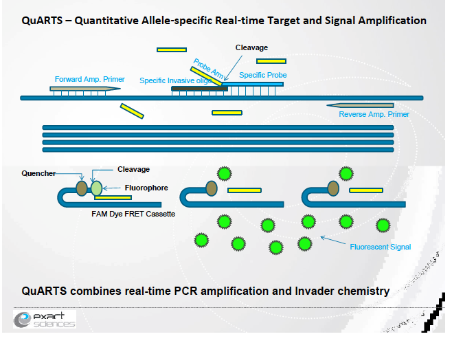 Content Dam Bow Online Articles 2014 08 Quarts