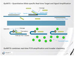 Content Dam Bow Online Articles 2014 08 Quarts Content Dam Bow Online Articles 2014 08 Quarts