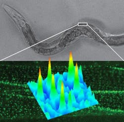 Content Dam Bow Online Articles 2014 09 79489 Web Content Dam Bow Online Articles 2014 09 79489 Web