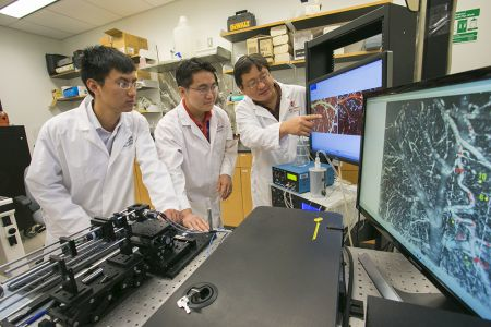 Content Dam Bow Online Articles 2014 09 Panlab1web Web