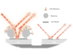 Content Dam Bow Online Articles 2014 10 Rotavirus Content Dam Bow Online Articles 2014 10 Rotavirus