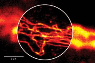 Content Dam Bow Online Articles 2014 10 Th Resolv 03