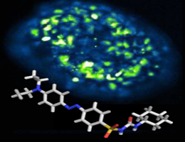 Content Dam Bow Online Articles 2014 10 Trauner Diabetes Eng 260