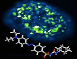 Content Dam Bow Online Articles 2014 10 Trauner Diabetes Eng 260 Content Dam Bow Online Articles 2014 10 Trauner Diabetes Eng 260