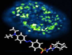 Content Dam Bow Online Articles 2014 10 Trauner Diabetes Eng 260 Content Dam Bow Online Articles 2014 10 Trauner Diabetes Eng 260
