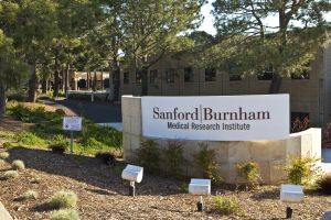 Content Dam Bow Online Articles 2014 11 La Jolla Main 1 Web