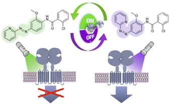 Content Dam Bow Online Articles 2014 11 Pau Alloswitch 340x210