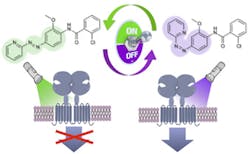 Content Dam Bow Online Articles 2014 11 Pau Alloswitch 340x210 Content Dam Bow Online Articles 2014 11 Pau Alloswitch 340x210